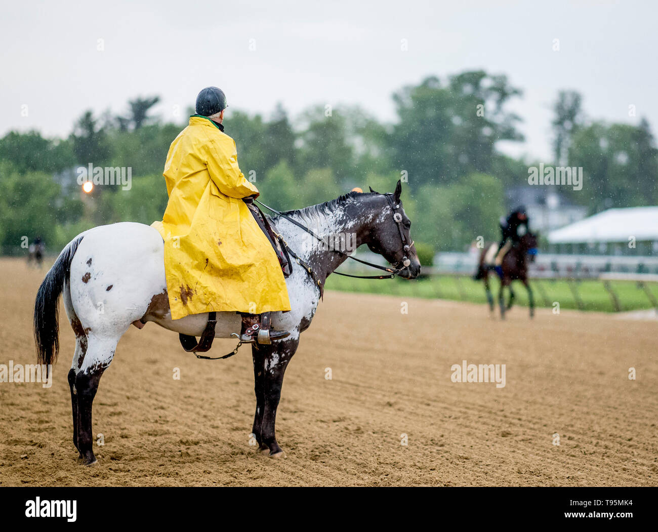 Baltimore, MD, USA. 16 mai, 2019. 16 mai 2019 : Formateur D. Wayne Lukas montres comme roi du marché pour les trains pendant la semaine au Preakness Pimlico Race Course à Baltimore, Maryland. Scott Serio/Eclipse Sportswire/CSM/Alamy Live News Banque D'Images