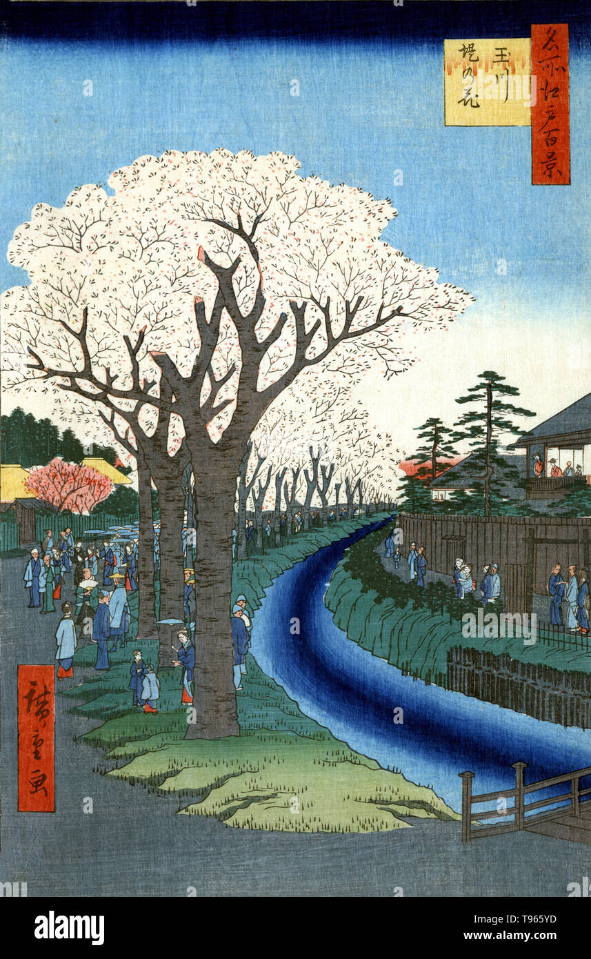 Zutsumi-Tamagawa no hana. Fleurs sur la berge de la rivière Tama. Impression a des excursions pour voir les cerisiers en fleurs le long des berges de la rivière Tama à Edo. Une fleur de cerisier (communément connu au Japon comme sakura) est la fleur de l'une de plusieurs arbres du genre Prunus, en particulier les Japonais cerisier, Prunus serrulata. Banque D'Images