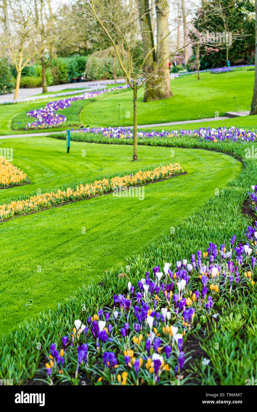 Jardin fleuri de fleurs Banque D'Images