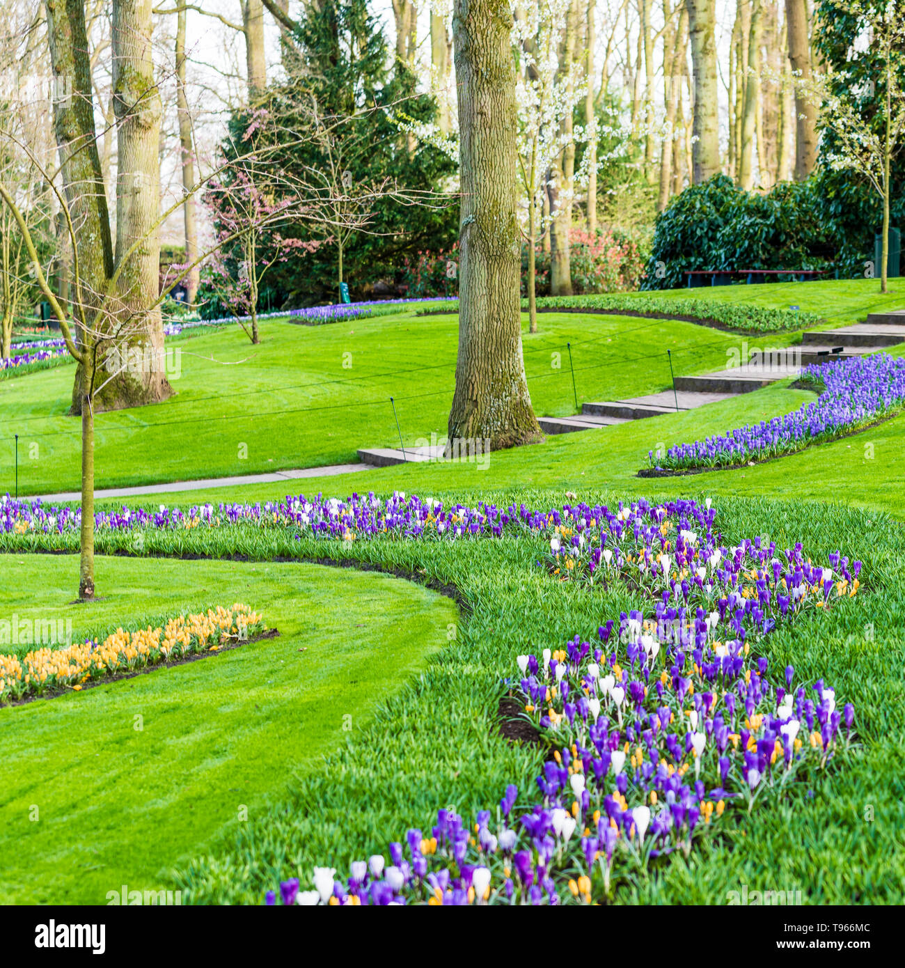 Jardin fleuri de fleurs Banque D'Images