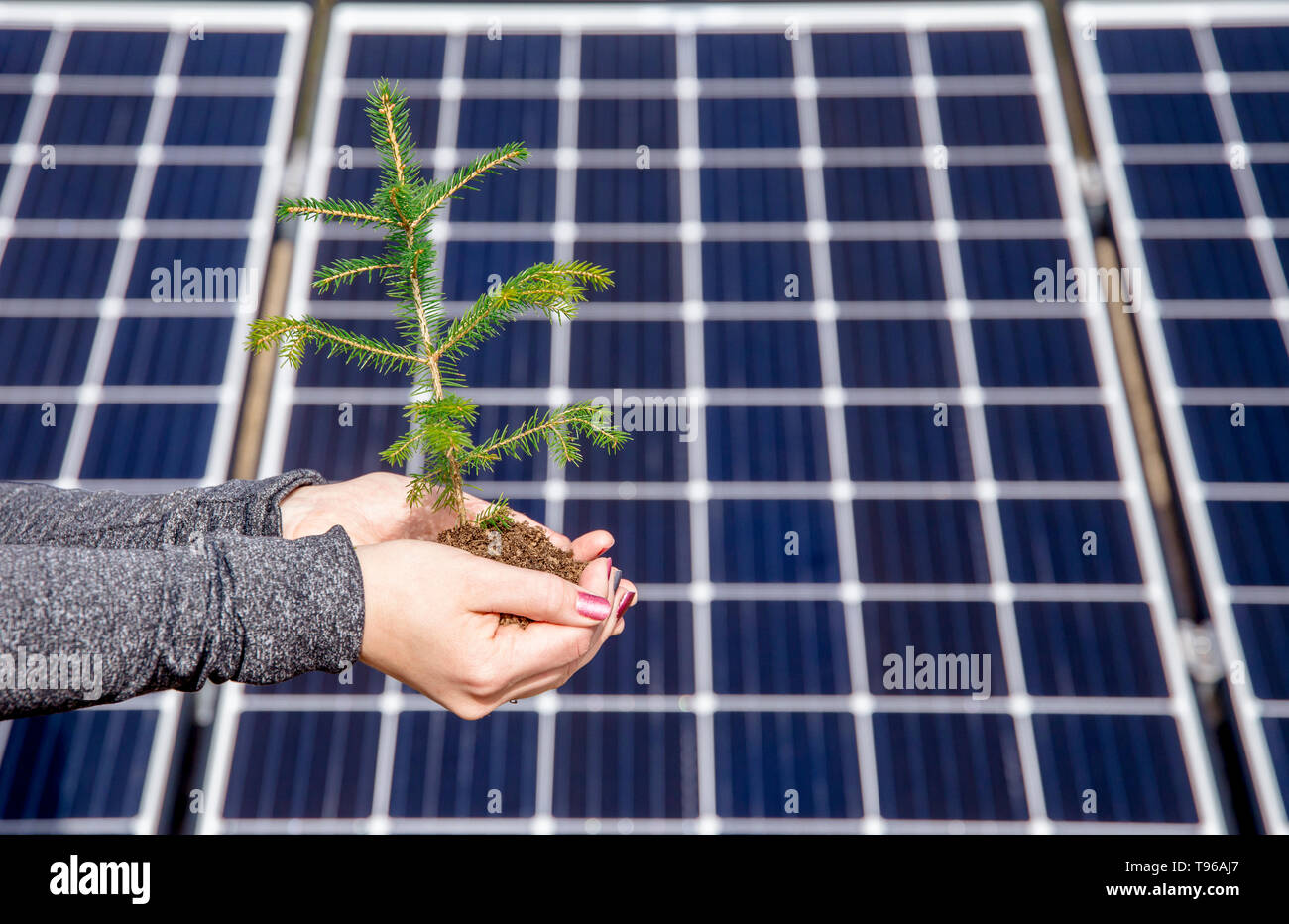 Enregistrement de la nature par l'utilisation de l'énergie solaire green concept. Et accidentellement aussi drôle illusion optique concept, points vacillante, change de place sur le backg Banque D'Images