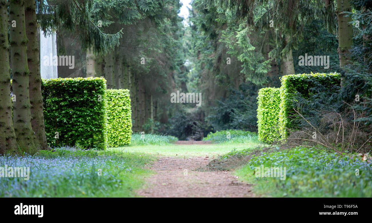 La compensation dans le bois Banque D'Images