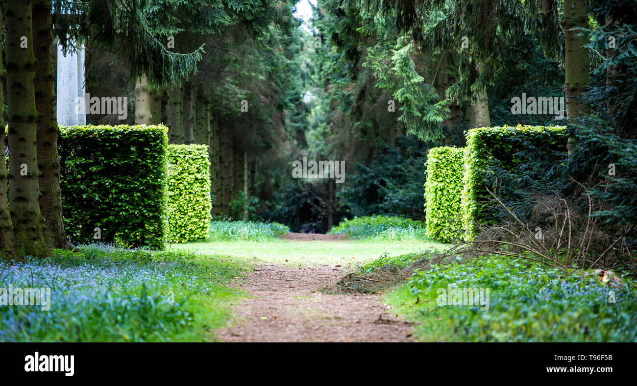 La compensation dans le bois Banque D'Images