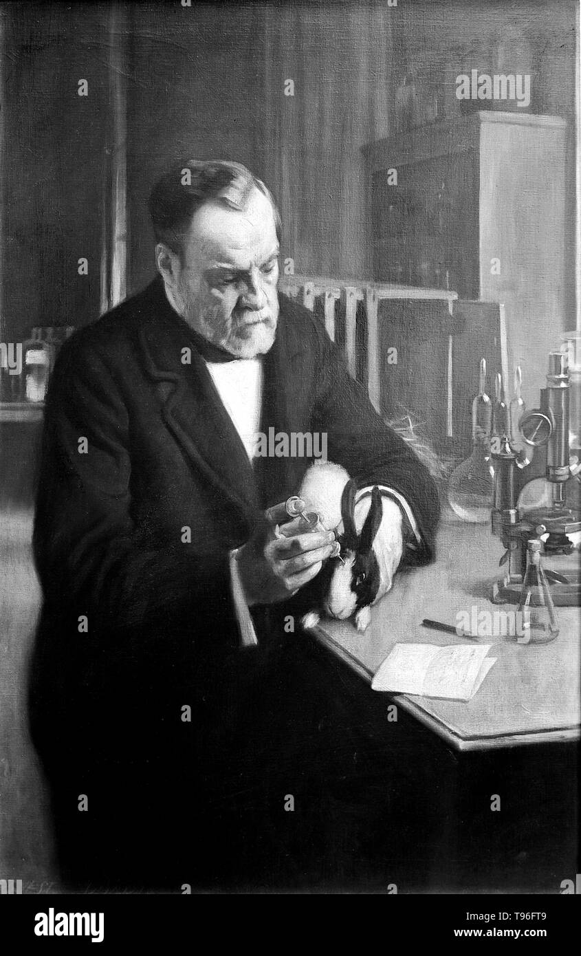Louis Pasteur (27 décembre 1822 - 28 septembre 1895) était un chimiste français, et qui a fondé le bactériologiste La science de la microbiologie. Le pâturage a découvert qu'il pouvait être causée par une bactérie transmise de personne à personne (la théorie des germes de maladies). Il a également mis au point des vaccins contre la rage et de l'anthrax. Pasteur a également constaté que le chauffage des aliments et boissons à la légère pouvait les préserver de la dégradation. Ce processus de pasteurisation est maintenant largement utilisé dans l'industrie alimentaire. Banque D'Images