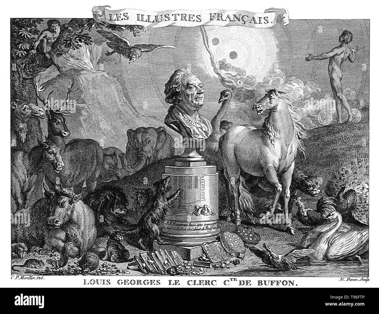 Georges Louis Leclerc, Comte de Buffon (7 septembre 1707 - 16 avril 1788) était un naturaliste français, mathématicien, cosmologiste, encyclopédique et auteur. 100 ans avant Darwin, Buffon publie son Histoire Naturelle, une encyclopédie volume 44 décrivant toutes les connaissances sur le monde naturel ; il luttait avec les similitudes des humains et des singes et même parlé d'origine commune de l'homme et les singes, mais a finalement rejeté l'idée d'une origine commune. Il est mort en 1788 à l'âge de 80 ans. Banque D'Images