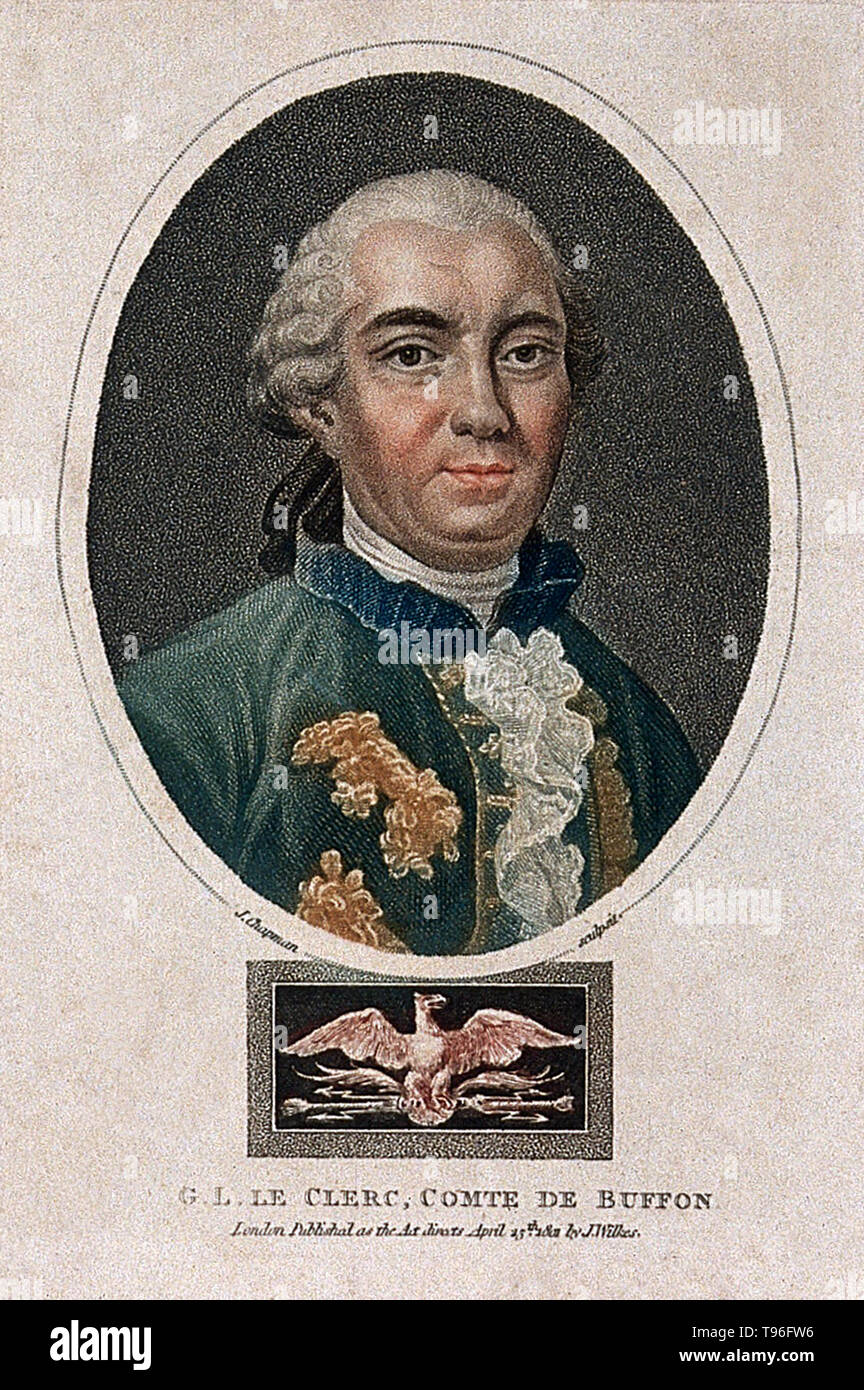 Georges Louis Leclerc, Comte de Buffon (7 septembre 1707 - 16 avril 1788) était un naturaliste français, mathématicien, cosmologiste, encyclopédique et auteur. 100 ans avant Darwin, Buffon publie son Histoire Naturelle, une encyclopédie volume 44 décrivant toutes les connaissances sur le monde naturel ; il luttait avec les similitudes des humains et des singes et même parlé d'origine commune de l'homme et les singes, mais a finalement rejeté l'idée d'une origine commune. Il est mort en 1788 à l'âge de 80 ans. Banque D'Images