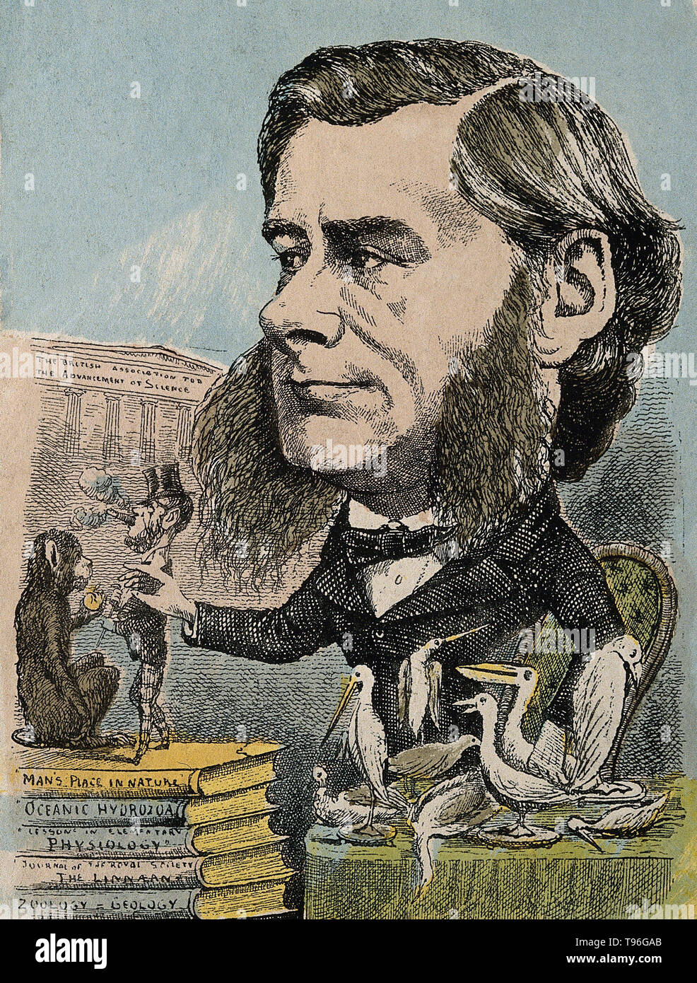Thomas Henry Huxley (4 mai 1825 - 29 juin 1895) était un biologiste anglais, connu sous le nom de ''Darwin's Bulldog'' pour sa défense de Charles la théorie de l'évolution de Darwin. Huxley's célèbre 1860 Débat avec Samuel Wilberforce a été un moment clé de l'acceptation plus large de l'évolution, et dans sa propre carrière. Huxley a été lente à accepter certaines idées de Darwin, tels que l'étapisme, et était indécis quant à la sélection naturelle, mais malgré cela, il était dans son entier soutien public de Darwin. Banque D'Images