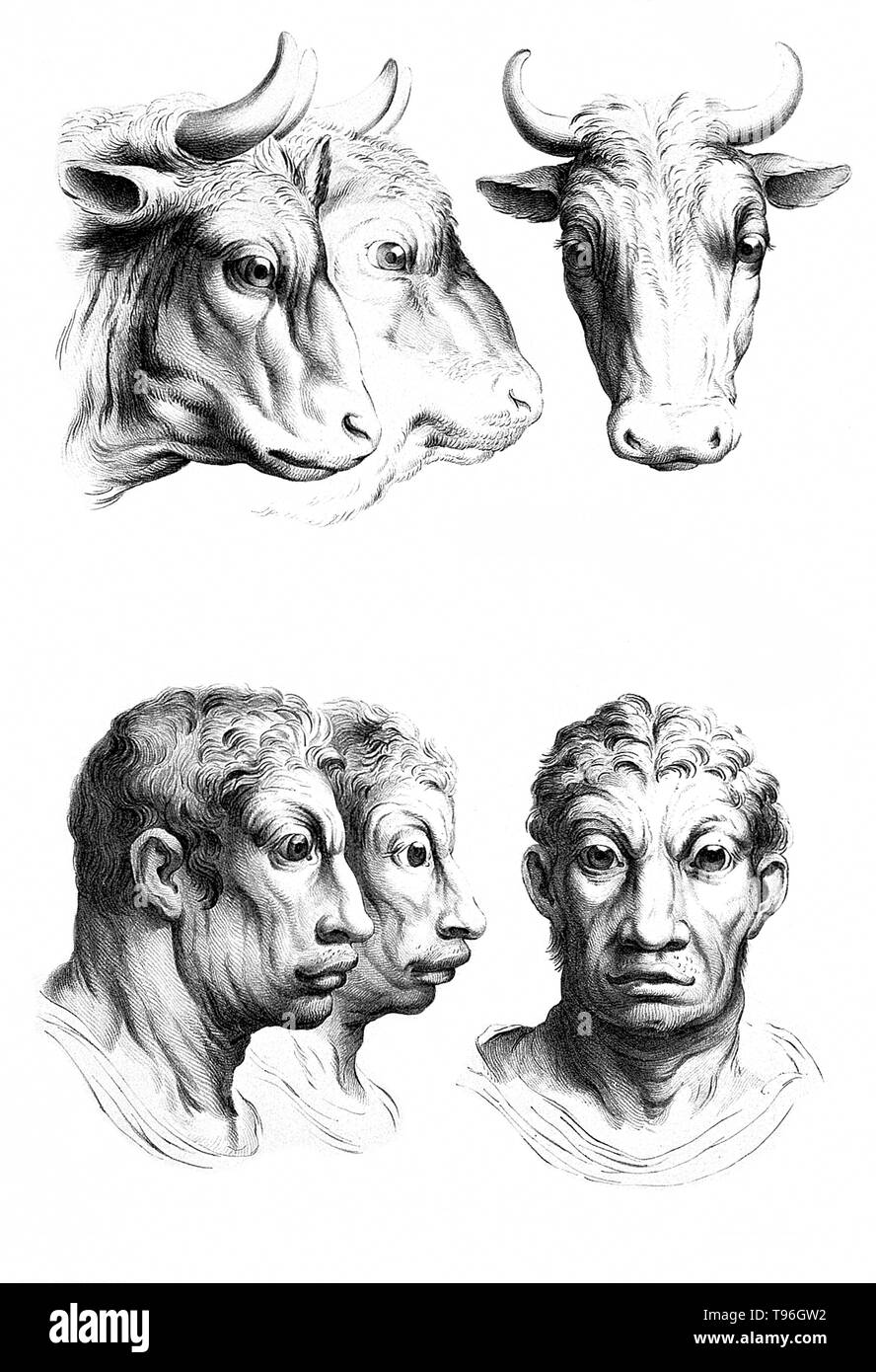 L'objectif de physiognomy est à juger les gens en fonction de caractéristiques du visage. Charles Le Brun (24 février 1619 - 12 février 1690) était un peintre français, théoricien d'art, décorateur et peintre de la cour de Louis XIV. Banque D'Images