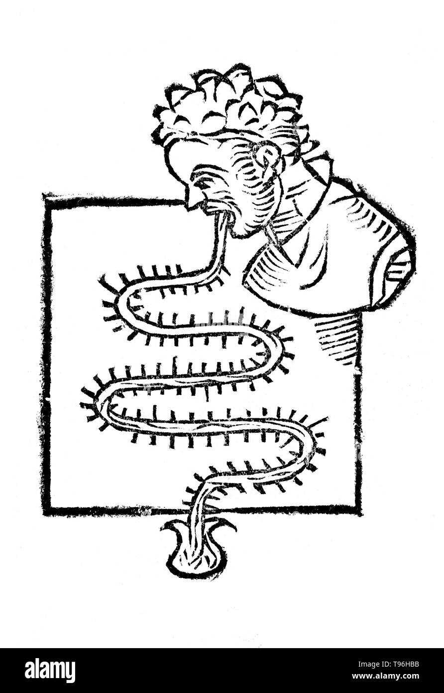 Primum Instrumentum. Santorio Santorio (Mars 29, 1561 - février 22, 1636) était un médecin physiologiste, vénitien, et le professeur, qui a présenté l'approche quantitative en médecine. Il est également connu comme l'inventeur de plusieurs instruments médicaux. Son travail de Statica Medicina, écrit en 1614, a vu un grand nombre de publications et influencé des générations de médecins. Santorio a introduit le thermoscope dans Sanctorii Sanctorii l'œuvre intitulée Commentaria in artem medicinalem Galeni en 1612. Banque D'Images