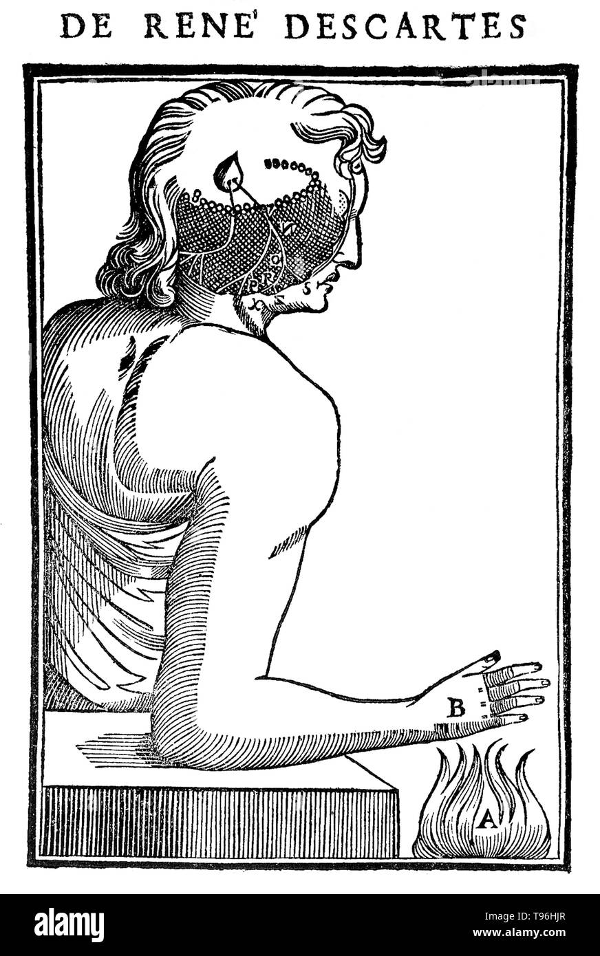 Modèle de causalité : lorsqu'une cause y, b d'une propriété est communiquée à b. Descartes avait initialement prévu de publier De homine en 1633, mais entendre la condamnation de Galilée par l'Église, il s'inquiète pour sa propre sécurité et a refusé de le faire imprimer. La première édition de ce travail a été publiée 12 ans après sa mort. René Descartes (31 mars 1596 - 11 février 1650) était un mathématicien français, philosophe et physiologiste. Banque D'Images