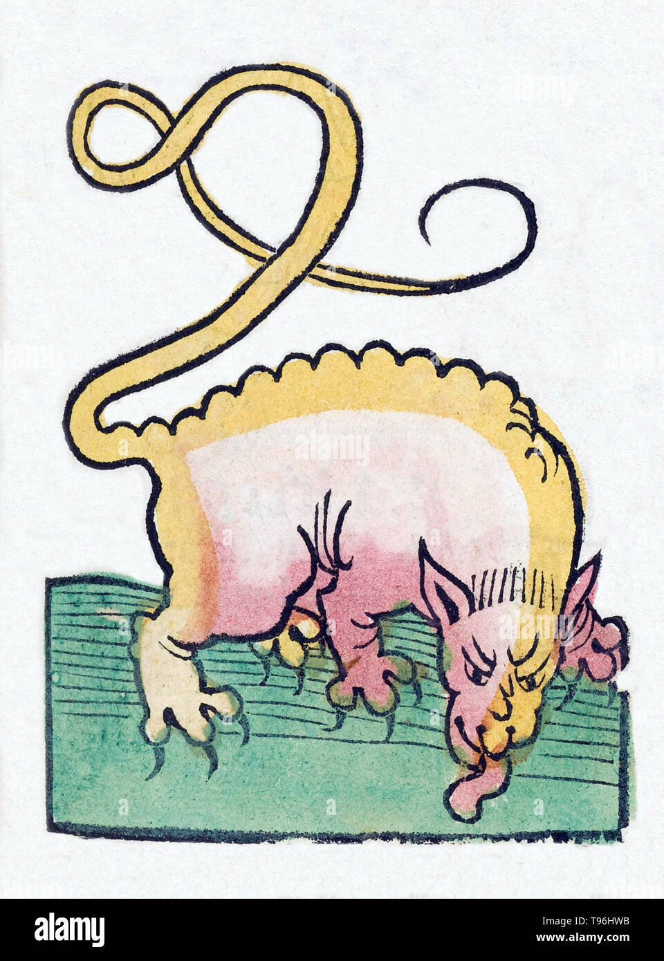 Créature mythique. L'Hortus Sanitatis (Jardin de la santé), la première encyclopédie d'histoire naturelle, a été publié par Jacob Meydenbach en Allemagne, 1491. Il décrit des plantes et animaux (à la fois réelle et mythique) avec minéraux et de divers métiers, avec leur valeur thérapeutique et de la méthode de préparation. La gravure sur bois à la main, les illustrations sont stylisées mais souvent facilement reconnaissable. L'édition 1547. Banque D'Images