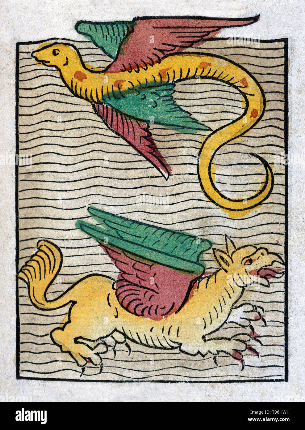 Un poisson volant et d'un Griffon. Le griffon est une créature légendaire avec le corps, la queue et les pattes arrière d'un lion ; la tête et les ailes d'un aigle, l'aigle et serres que ses pattes de devant. Parce que le lion était traditionnellement considéré comme le roi des animaux et de l'aigle le roi des oiseaux, le Griffin a été pensée pour être une créature majestueuse et particulièrement puissante. Griffins sont connus pour la garde et les précieux trésors possessions. Banque D'Images