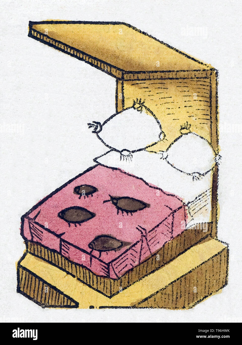Les punaises de lit sont des insectes parasites du genre Cimex qui se nourrissent exclusivement de sang. Les punaises de lit ont été connus comme parasites humains depuis des milliers d'années. L'Hortus Sanitatis (Jardin de la santé), la première encyclopédie d'histoire naturelle, a été publié par Jacob Meydenbach en Allemagne, 1491. Il décrit des plantes et animaux (à la fois réelle et mythique) avec minéraux et de divers métiers, avec leur valeur thérapeutique et de la méthode de préparation. La gravure sur bois à la main, les illustrations sont stylisées mais souvent facilement reconnaissable. L'édition 1547. Banque D'Images