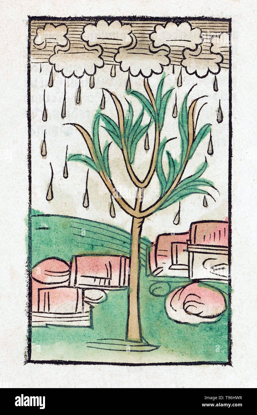 Arbre et la pluie. L'Hortus Sanitatis (Jardin de la santé), la première encyclopédie d'histoire naturelle, a été publié par Jacob Meydenbach en Allemagne, 1491. Il décrit des plantes et animaux (à la fois réelle et mythique) avec minéraux et de divers métiers, avec leur valeur thérapeutique et de la méthode de préparation. La gravure sur bois à la main, les illustrations sont stylisées mais souvent facilement reconnaissable. L'édition 1547. Banque D'Images
