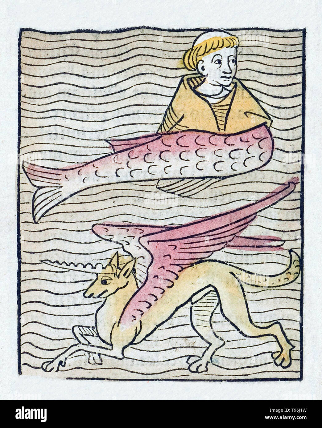 Les moines de la mer ont la tête d'un moine qui vient d'être rasé : sur le sommet du crâne, ils ont une tonsure blanche et un cercle c'est comme les cheveux sur la zone des oreilles. Les moines de la mer jouent sur la surface des eaux pour leurrer les humains afin qu'ils puissent les attraper, puis plongez dans les profondeurs. Le narval est un monstre de mer, couvrant le front une Corne géante, qu'il peut les navires de forage que rencontre l'évier et causer la perte de beaucoup d'hommes. Banque D'Images