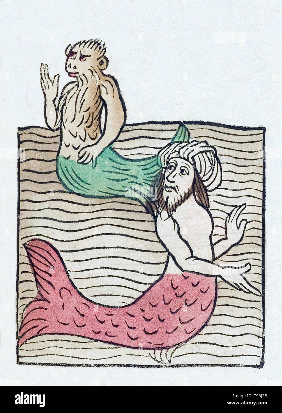 Mermen ont la forme d'un homme de la taille et sont de poisson à partir de la taille, ayant des queues de poissons à écailles, à la place de jambes. L'Hortus Sanitatis (Jardin de la santé), la première encyclopédie d'histoire naturelle, a été publié par Jacob Meydenbach en Allemagne, 1491. Il décrit des plantes et animaux (à la fois réelle et mythique) avec minéraux et de divers métiers, avec leur valeur thérapeutique et de la méthode de préparation. La gravure sur bois à la main, les illustrations sont stylisées mais souvent facilement reconnaissable. L'édition 1547. Banque D'Images