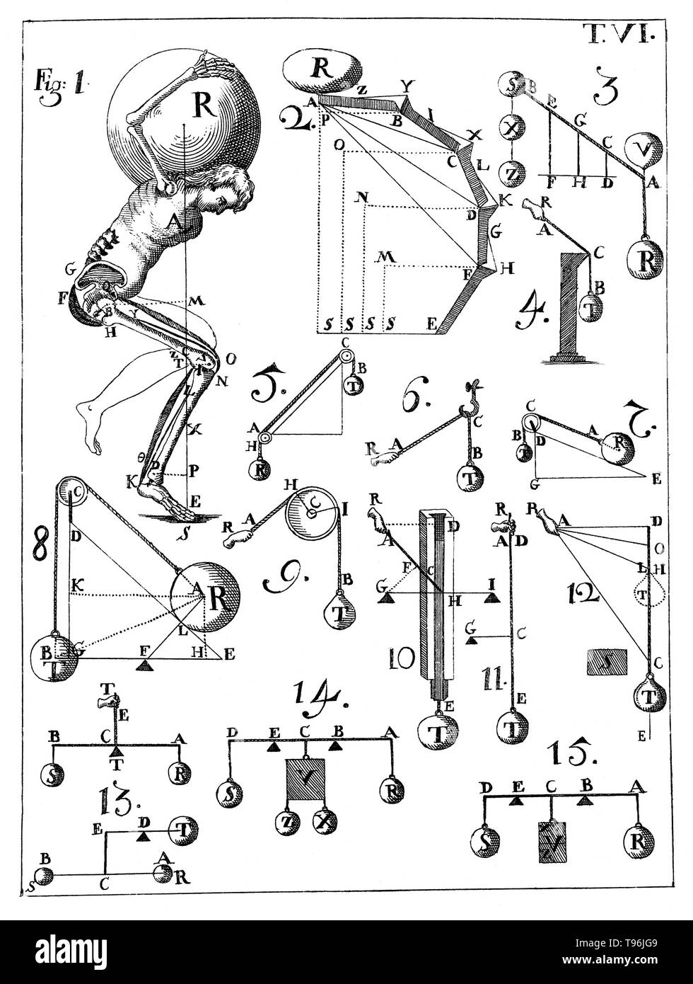 De motu animalium, édition 1734. Tableau VI. Giovanni Alfonso Borelli (28 janvier 1608 - 31 décembre 1679) était un physiologiste italien de la Renaissance, physicien, et mathématicien. Il a contribué à la règle moderne d'investigation scientifique en continuant de Galileo coutume de tester des hypothèses sur l'observation. Une formation en mathématiques, Borelli a également fait des études approfondies des lunes de Jupiter, la mécanique de la traction animale et, en microscopie électronique, des constituants du sang. Banque D'Images