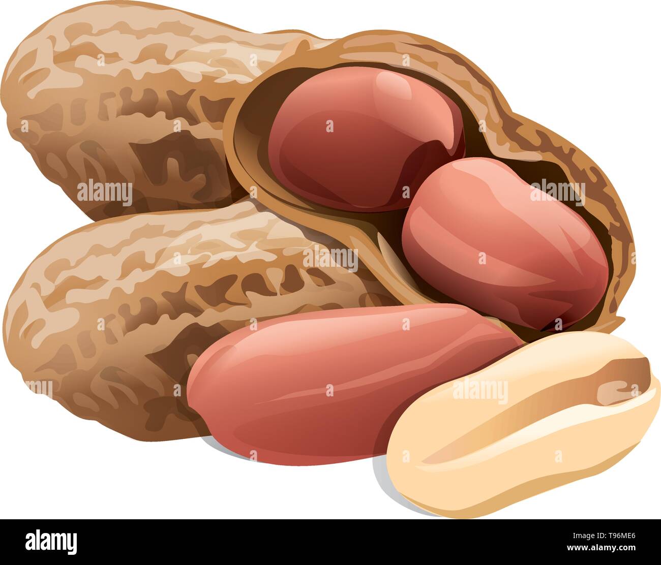 Une poignée de cacahuètes dans le shell et sans coquille isolé sur fond blanc vector Illustration de Vecteur