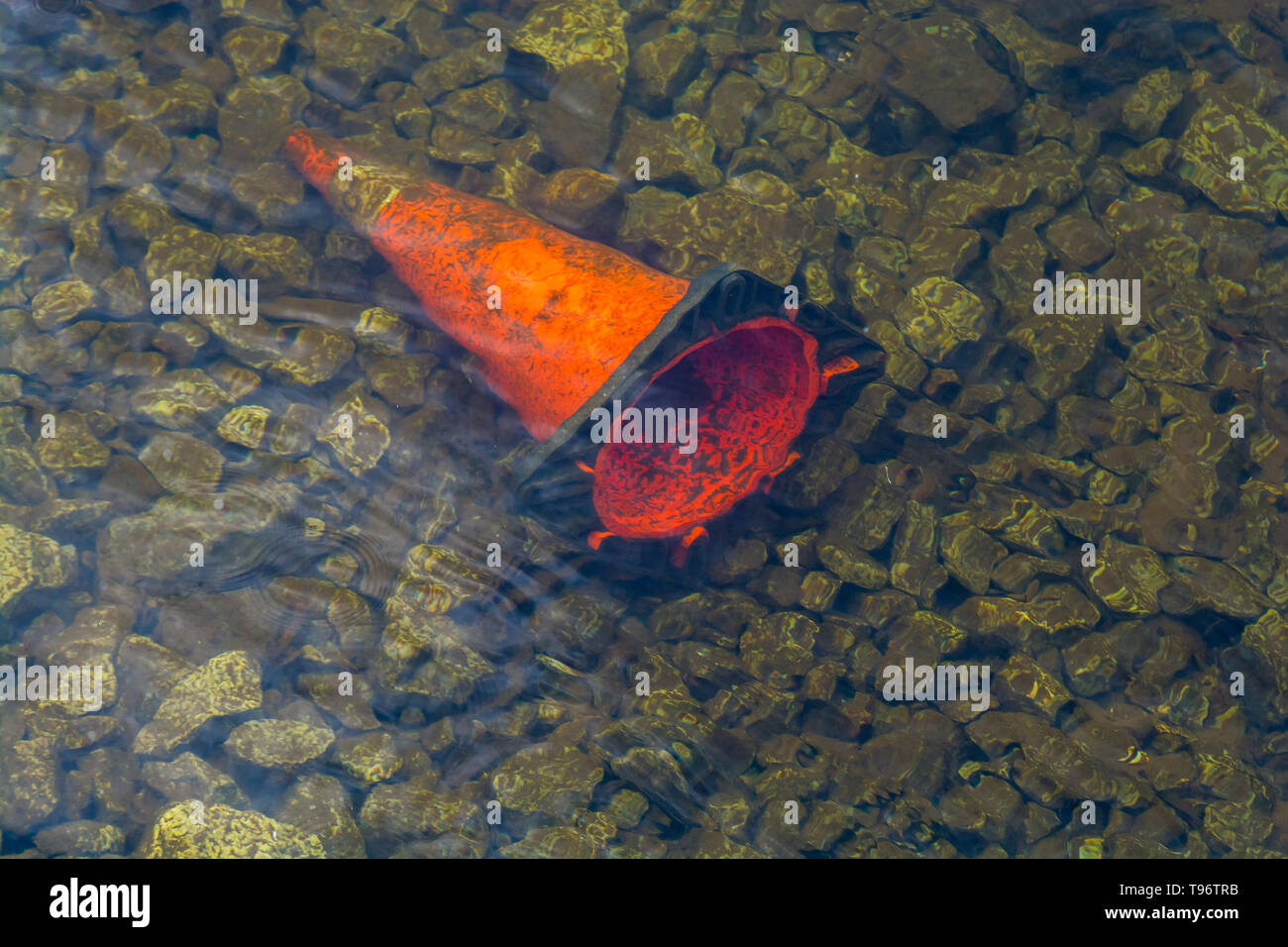 Cône de mise en garde au fond du lac Banque D'Images