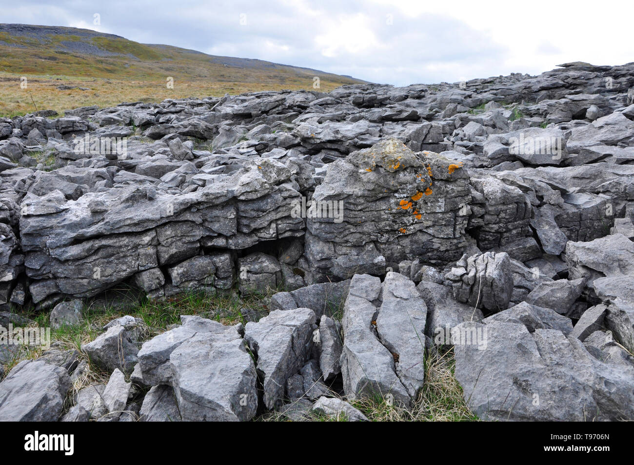 La croissance des lichens aux couleurs vives sur un affleurement de calcaire carbonifère sur la montagne au-dessus de Dan-yr-Ogof caves dans la Montagne Noire, au sud du Pays de Galles, Royaume-Uni Banque D'Images