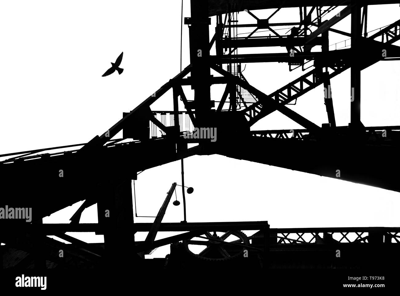Contre un ciel couvert, une mouette s'exécute à partir d'un pont de chemin de fer qui se profile à Boston, MA. Banque D'Images