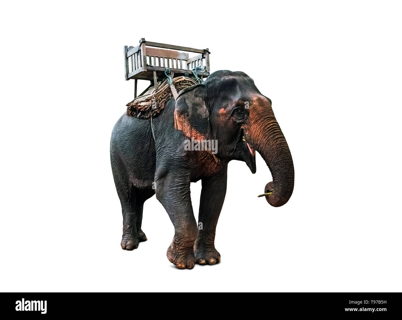 Chaise Installee Sur Un Elephant En Asie Elephant stroll Banque d'images détourées - Alamy