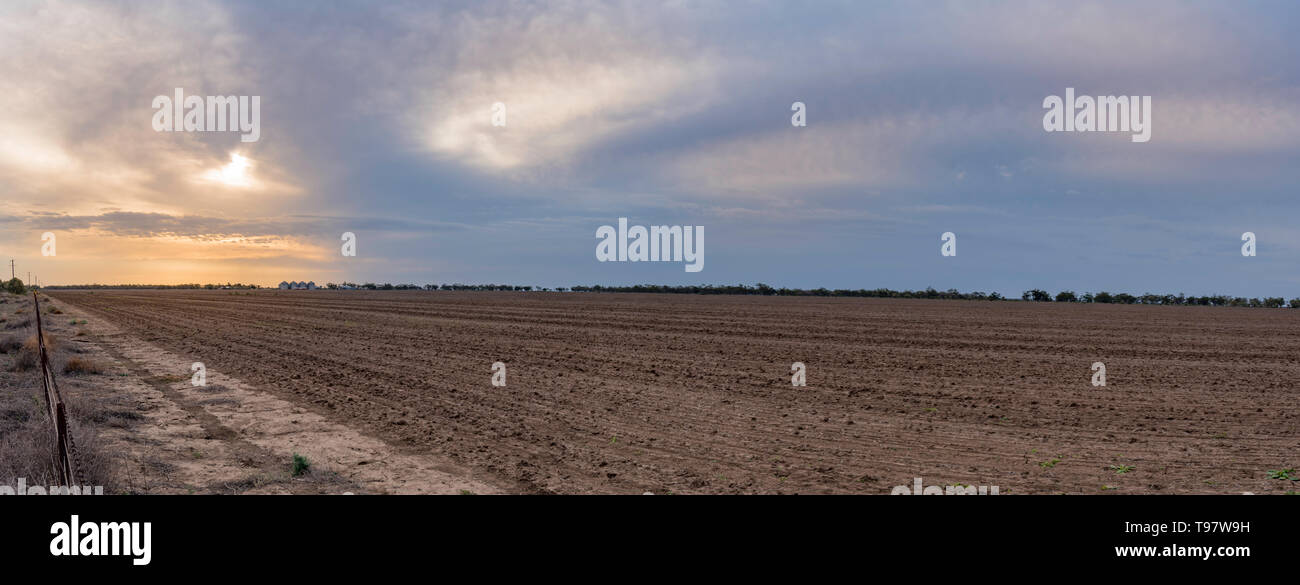 Mai 2019, Burren Junction, Australie : le coucher du soleil et nuages de pluie sur une grande télévision paddock labouré sur une exploitation touchée par la sécheresse dans l'ouest EN IN Banque D'Images