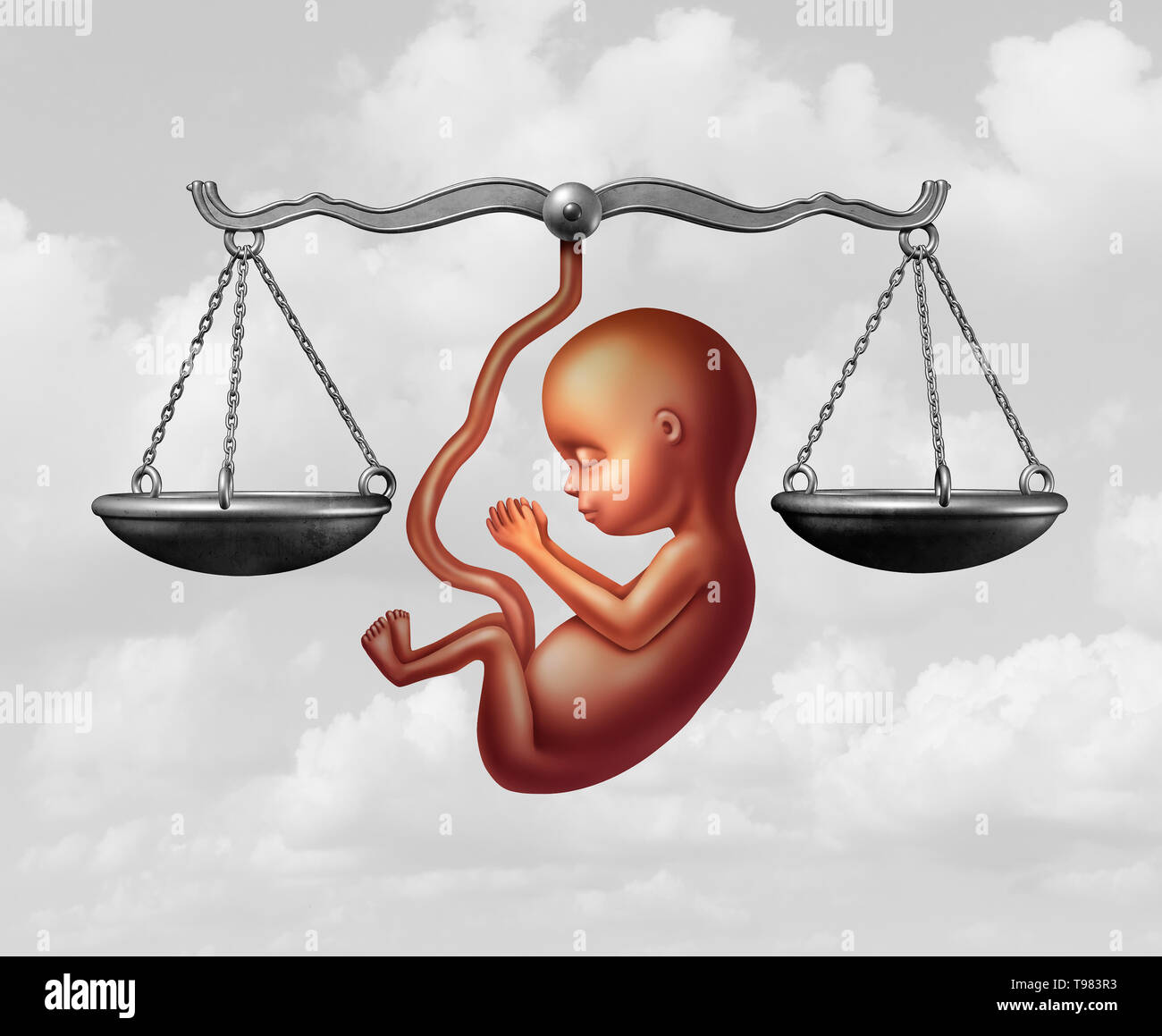 Projet de loi sur l'avortement et le foetus de l'homme et de la justice de la reproduction comme un concept juridique du droit de reproduction sous forme de loi par le gouvernement de décider des lois. Banque D'Images