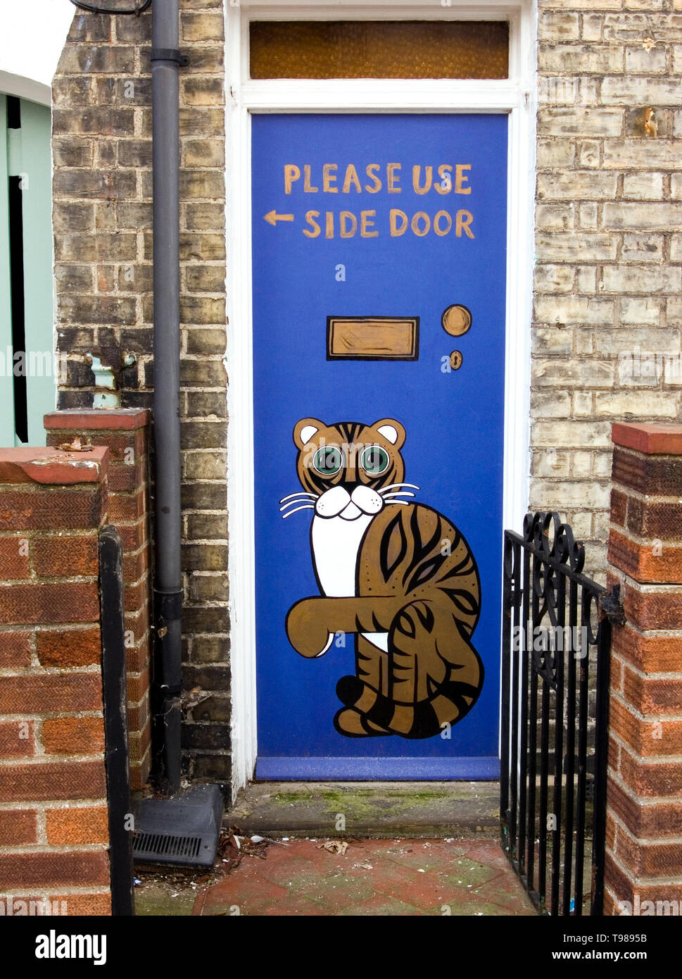 Peinture de chat sur porte avant. Banque D'Images