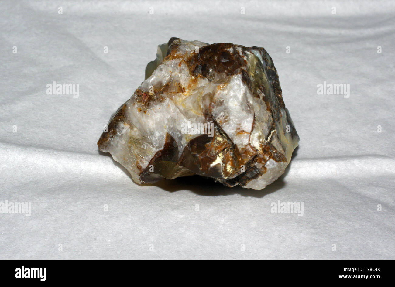 Roche bréchique de madagascar isolated close-up Banque D'Images