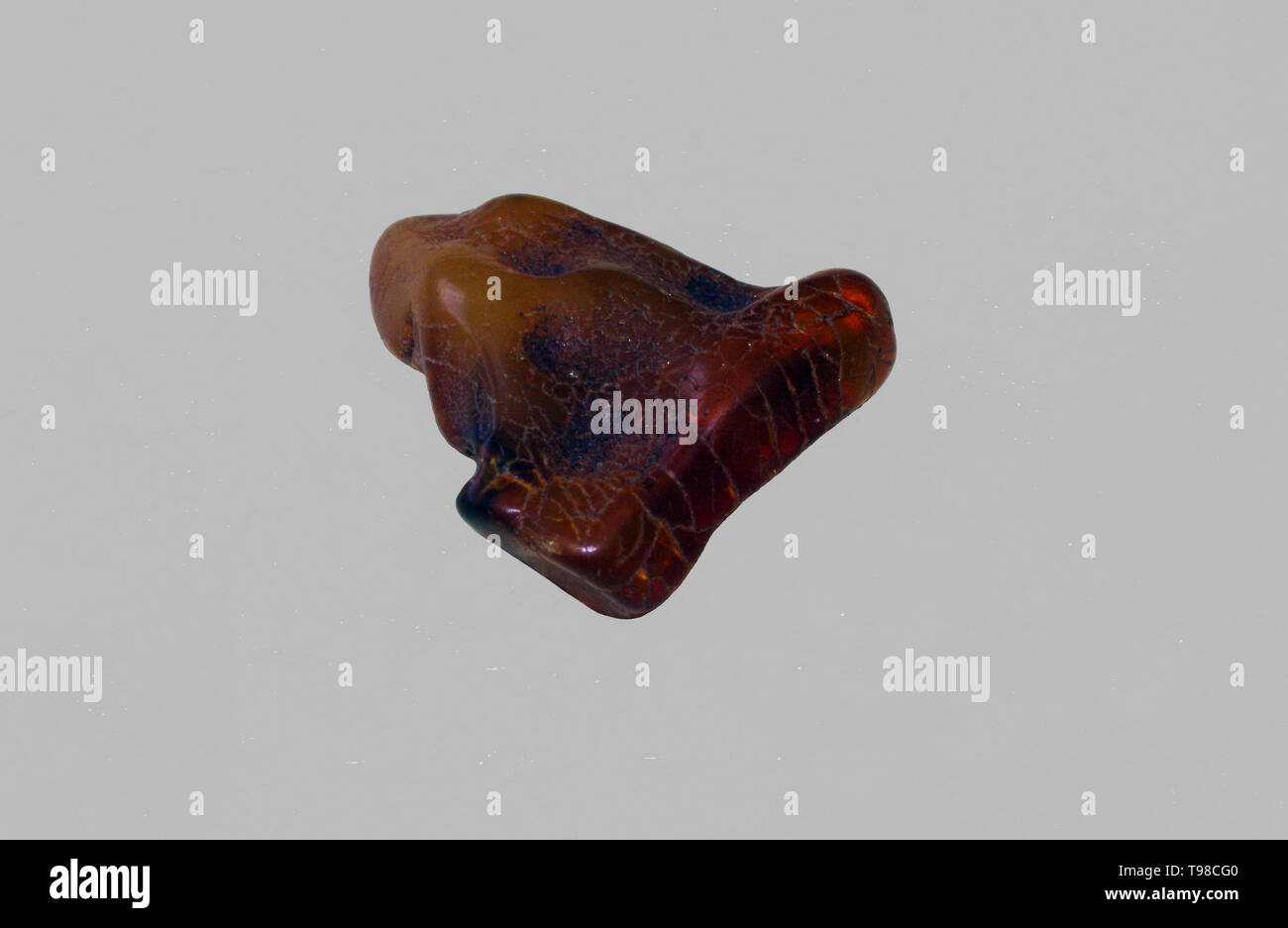 Rock ambre de Pologne isolated close-up Banque D'Images