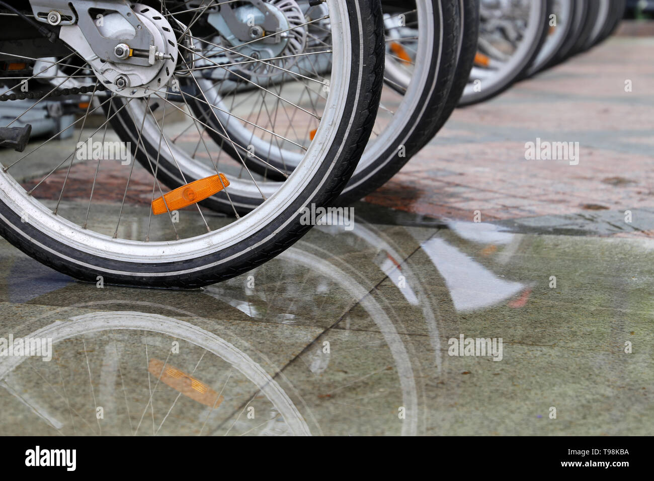 Des vélos sur une aire de stationnement, les roues se reflètent dans une flaque d'eau après la pluie. Système de location de vélos de ville, de temps pluvieux Banque D'Images