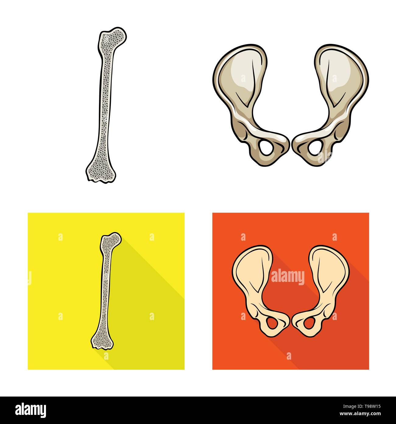 Fémur hanche,,bony,joints,jambe,bassin,chirurgie,genou tibia,sain,péroné,alignement,calcium,joints,mouvement,médecine,clinique,biologie,médical,os,,squelette anatomie,des,organes,,set,icône,,illustration,collection,isolé,design,graphisme,élément,signe, vecteurs vecteur , Illustration de Vecteur