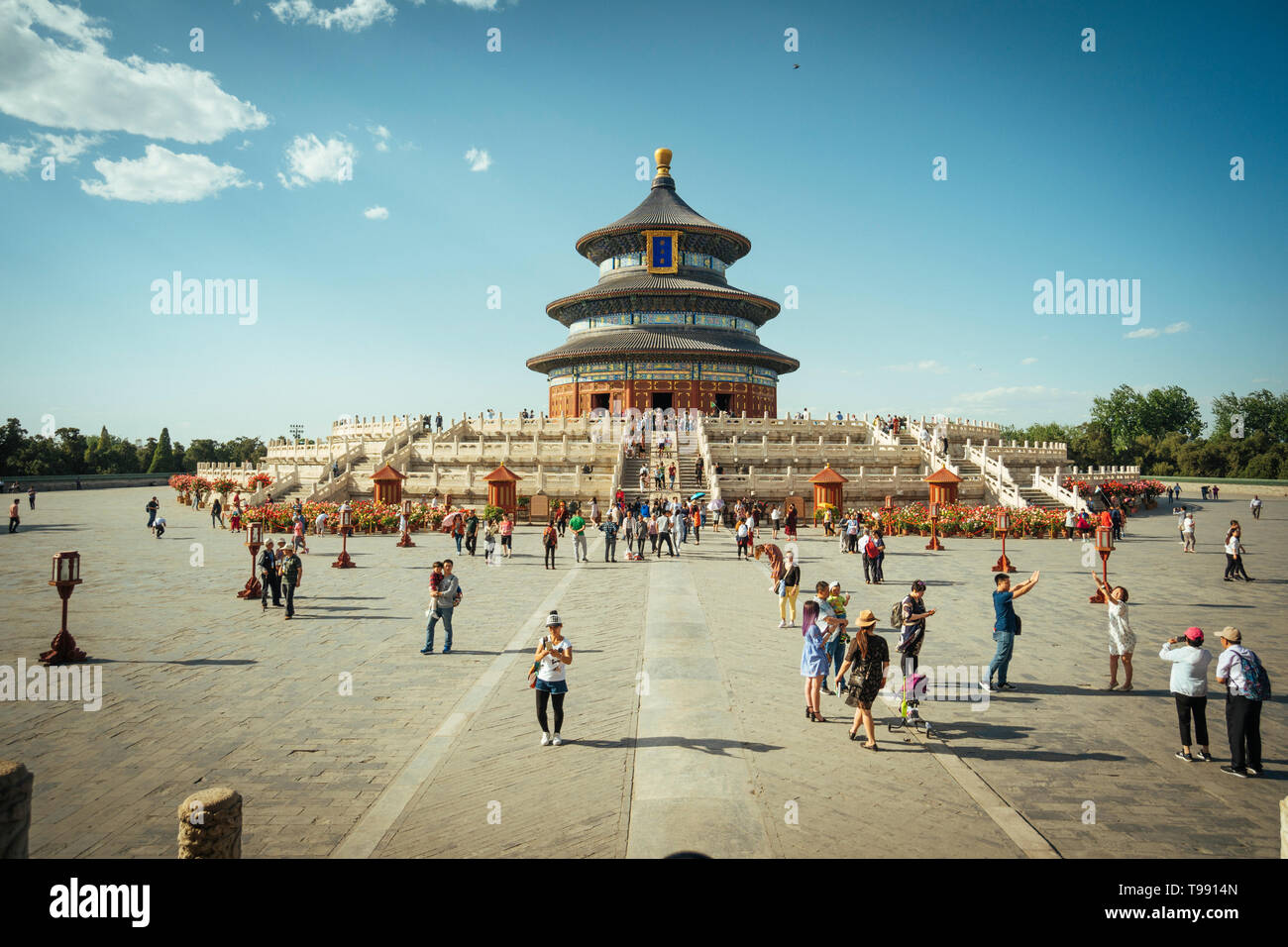 Temple du Ciel, Beijing, Chine Banque D'Images