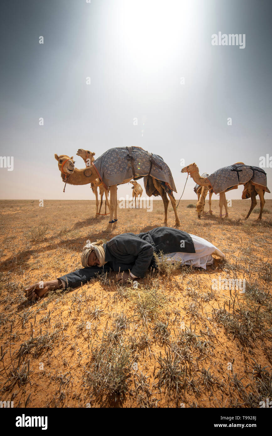 Camel keeper prendre une sieste après une longue journée de course, l'Arabie Saoudite Banque D'Images