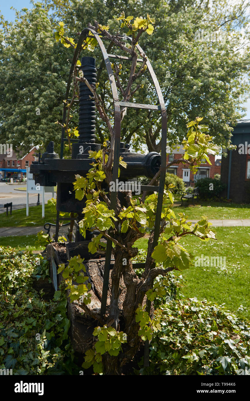 Appuyez sur Fonction du vin à l'extérieur de la bibliothèque et musée Alcester, dans la vallée d'Evesham, England, Royaume-Uni, Europe Banque D'Images