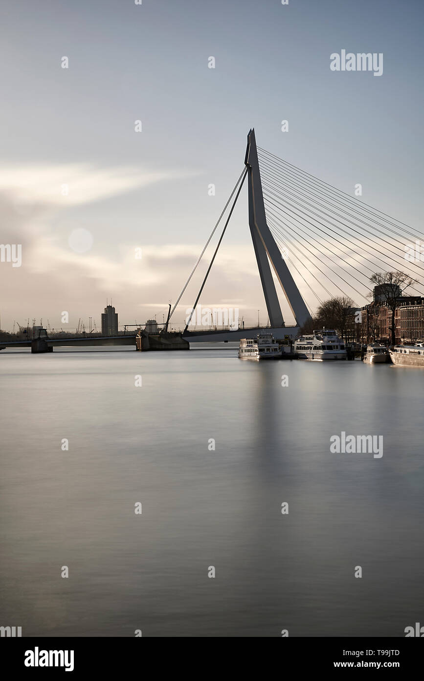 Pont Erasmus dans le centre-ville de Rotterdam dans soleil du printemps Banque D'Images