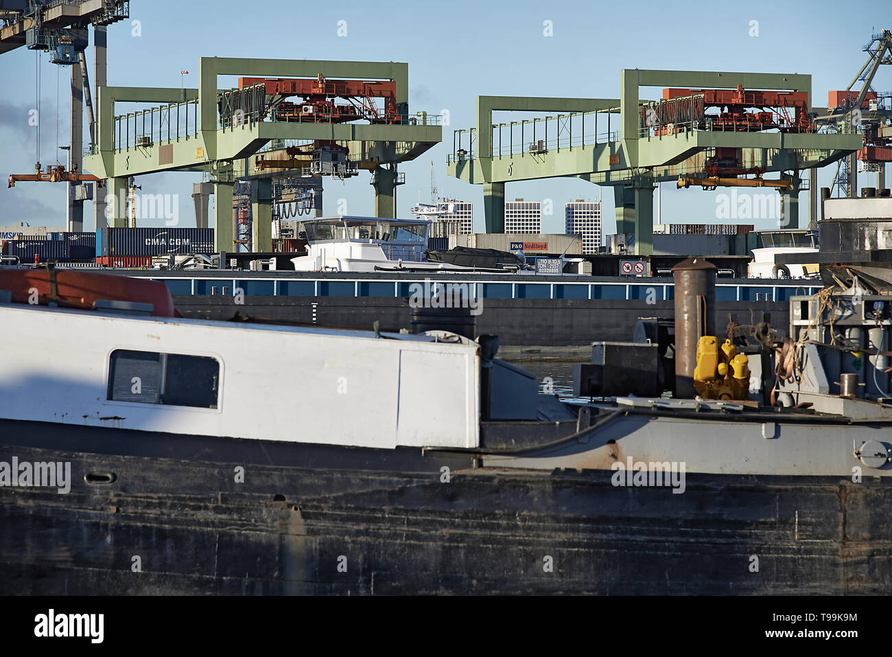 Grues et porte-conteneurs dans le port de Rotterdam dans soleil du printemps Banque D'Images