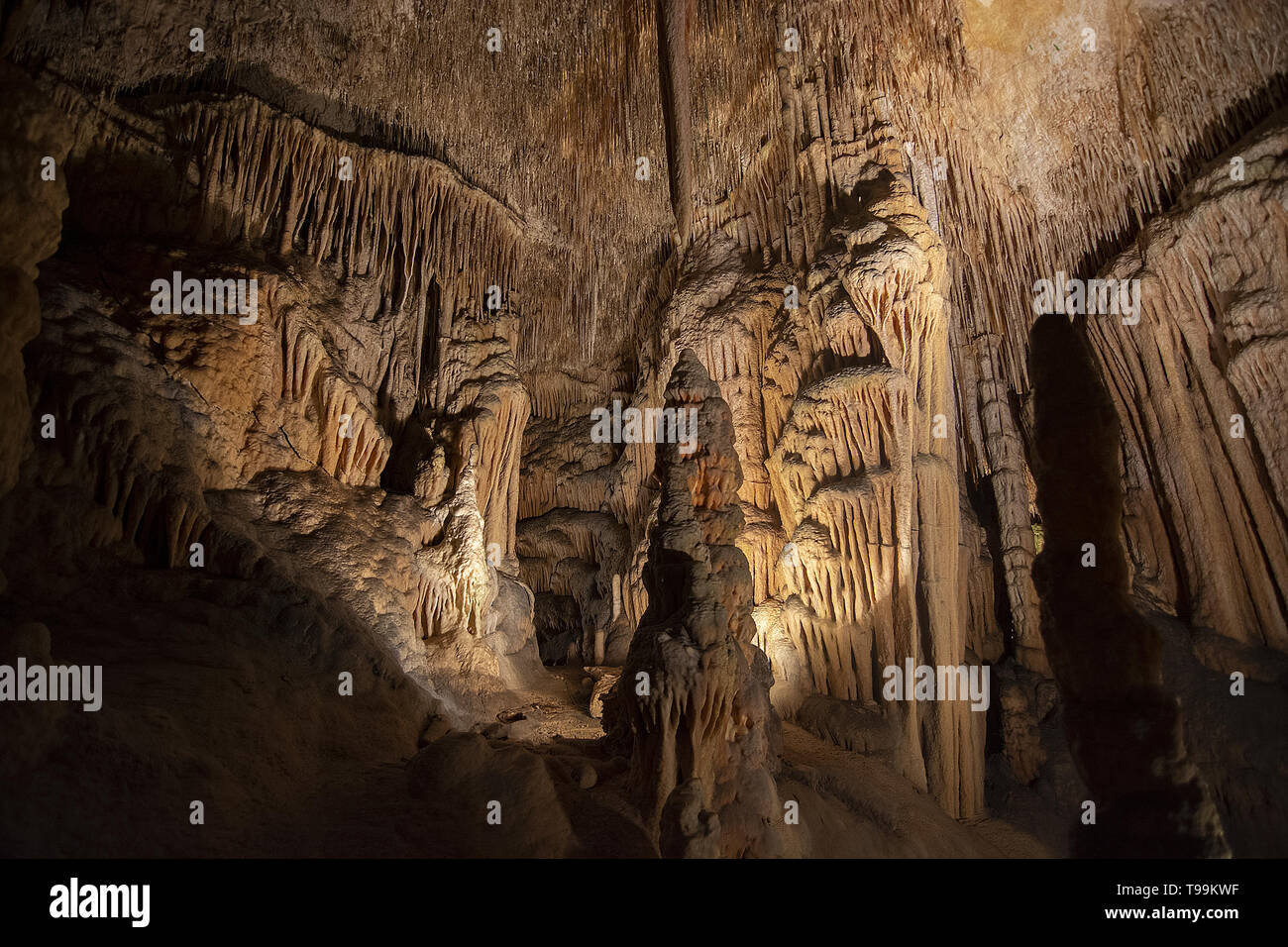 Intérieur grotte avec des stalactites et stalagmites, Cuevas del Drach, Mallorca, Espagne. Banque D'Images