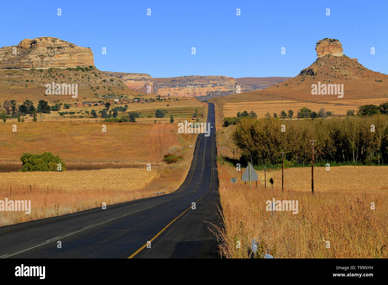 Magnifique paysage de montagne avec une route goudronnée qui s'étend à l'horizon Banque D'Images