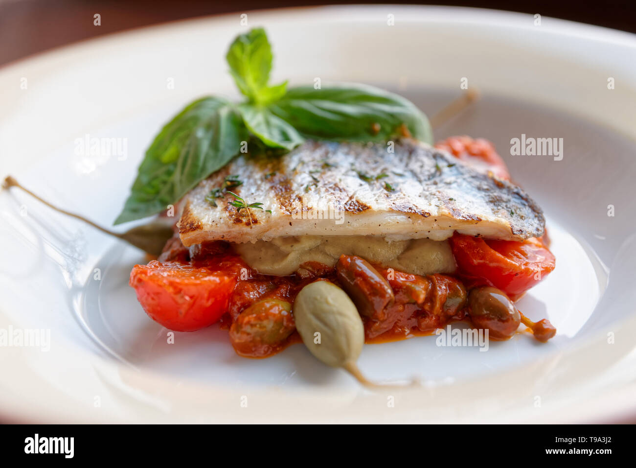 Filet de loup de mer avec une sauce tomate et câpres on white plate Banque D'Images