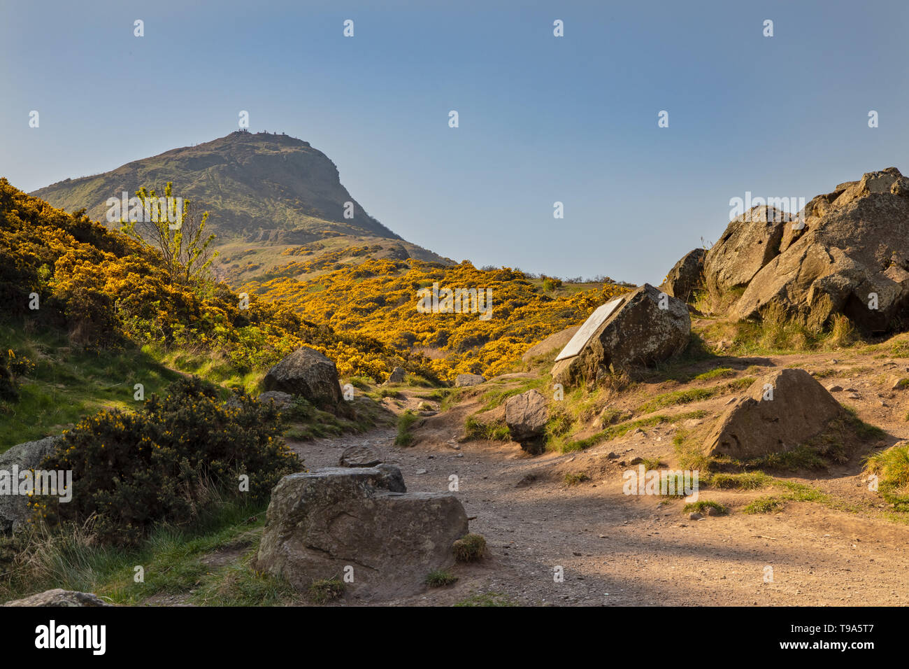 Vue d'Arthur's Seat à Édimbourg , Écosse Banque D'Images