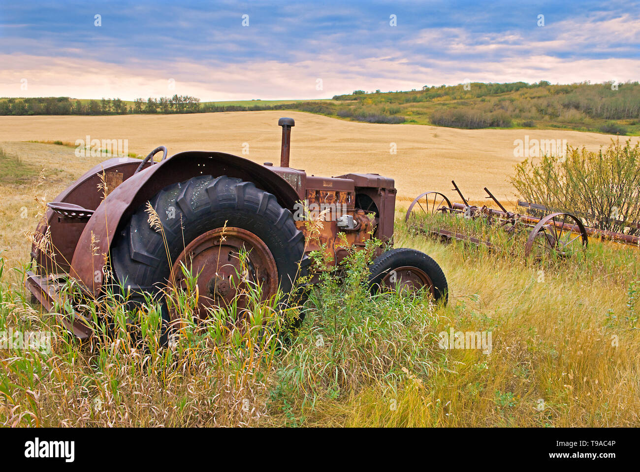 Le tracteur et le vieux outils agricoles sur l'homestead Baljennie Saskatchewan Canada Banque D'Images