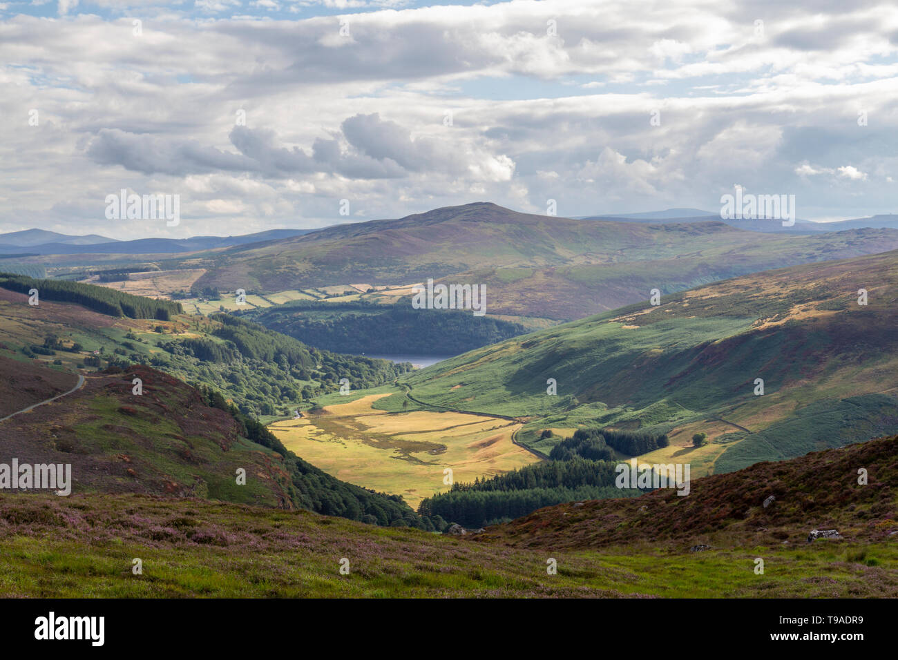 Vue vers le bas Lough Tay (Lac de la vallée de la Guinness) dans le Parc National des Montagnes de Wicklow, Wicklow, Irlande. Co. Banque D'Images