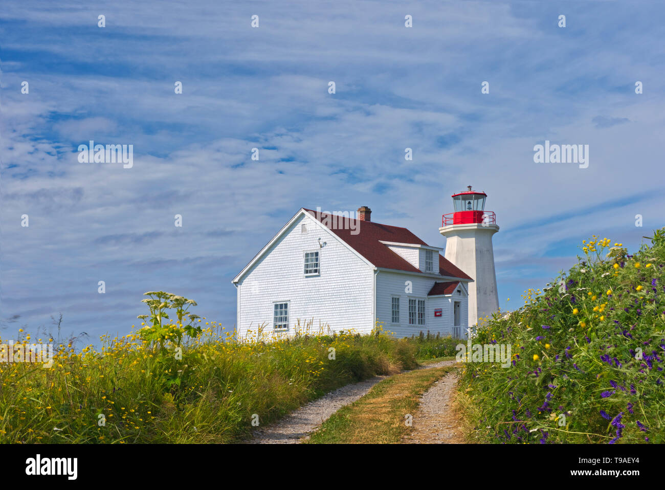 Le phare sur l'Île aux Perroquets de Parc National de l'archipel de Mingan Québec Canada Banque D'Images