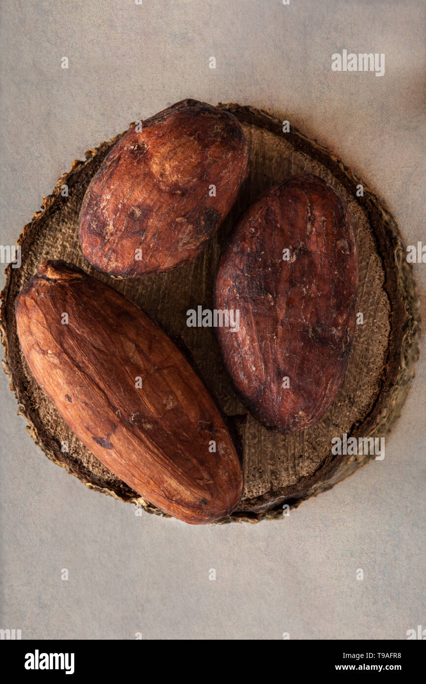 Les fèves de cacao brutes sur une feuille de chêne Banque D'Images