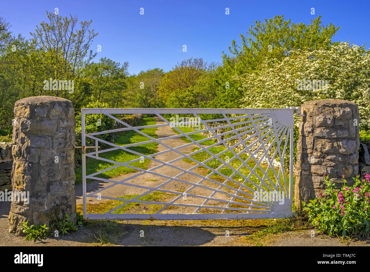 Un sentier et parc côtier Penrhos Banque D'Images