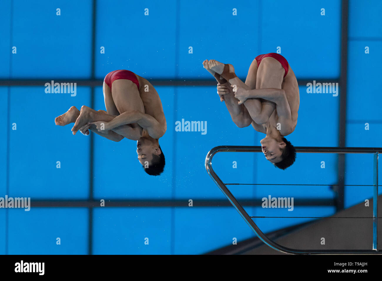 Londres, Royaume-Uni. 17 mai, 2019. Hao Yang et Junjie Liam (CHN) concurrence dans Men's 10m synchro finale de la plate-forme au cours de la FINA/CNSG Diving World Series finale à l'Aquatics Centre de Londres, le vendredi 17 mai 2019. Londres en Angleterre. Credit : Taka G Wu/Alamy Live News Banque D'Images