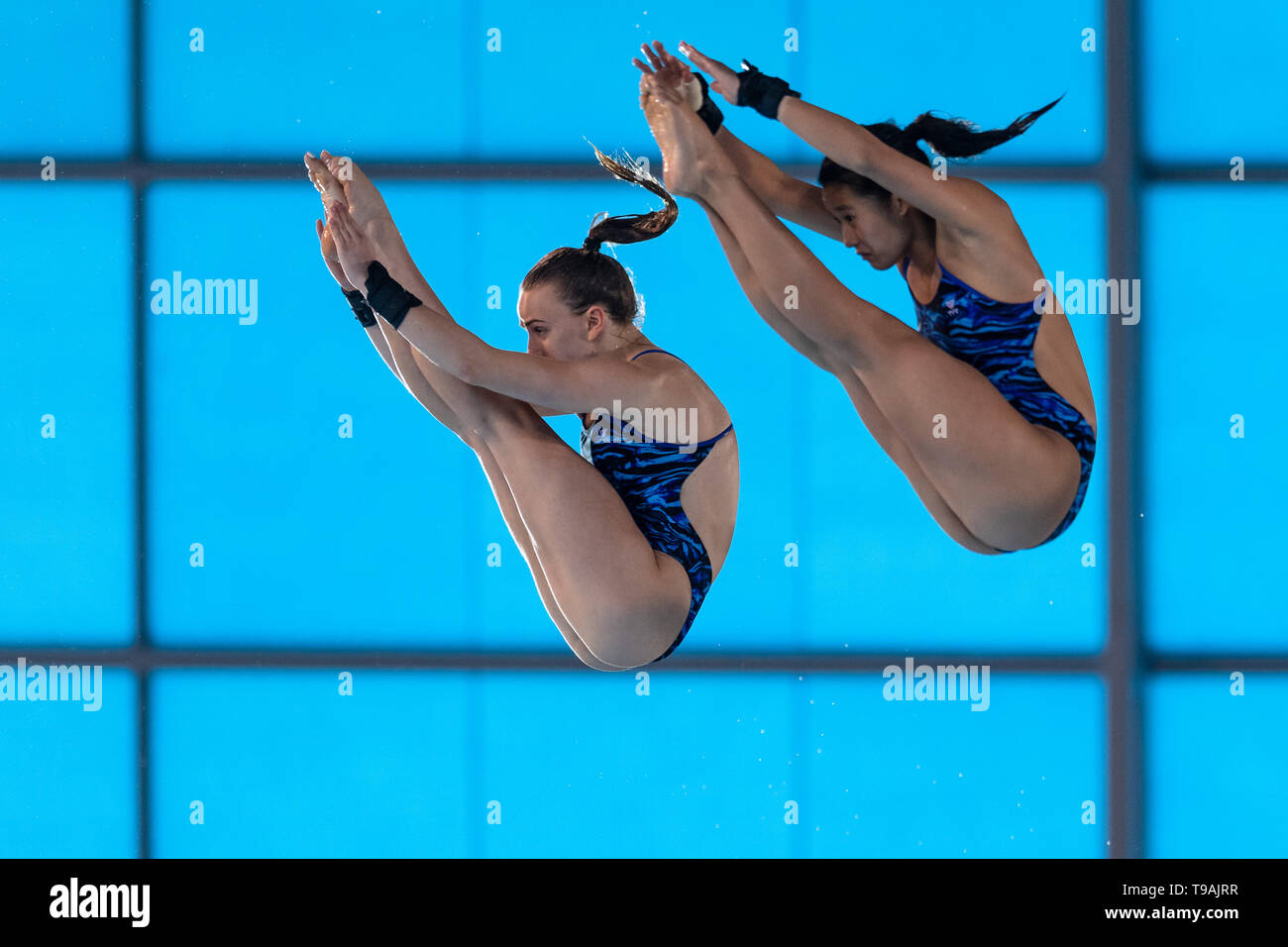Londres, Royaume-Uni. 17 mai, 2019. Eden Cheng et Lois Toulson (GBR) concurrence dans les 10m synchro finale de la plate-forme au cours de la FINA/CNSG Diving World Series finale à l'Aquatics Centre de Londres, le vendredi 17 mai 2019. Londres en Angleterre. Credit : Taka G Wu/Alamy Live News Banque D'Images