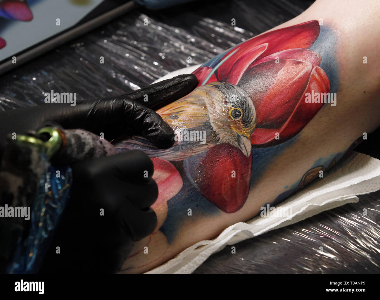 site de rencontre tatoo